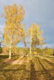 /album/fotogalerie-aktualni/dsc-0066-jpg/