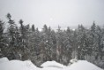 /album/fotogalerie-ns-tremosna/dsc-0130-jpg/