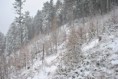 /album/fotogalerie-ns-tremosna/dsc-0133-jpg/