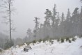 /album/fotogalerie-ns-tremosna/dsc-0136-jpg/