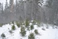 /album/fotogalerie-ns-tremosna/dsc-0137-jpg/